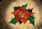 Fleur_De_Noël.jpg