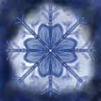 Flocon_1_le 24/01/2025..jpg